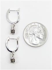 10k 4.3g White Gold Diamond Huggie Dangle Illusion Iris Eye Unique Earrings